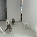 어썸멍스쿨 이미지