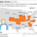 美 바이러스 이미지