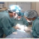 모션의원 이미지