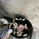 박골펜션 이미지