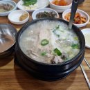 영심이구제