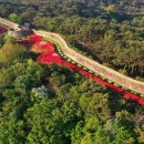 고창읍성
매표소 앞 이미지