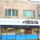 목포교육청 | 목포해물정식하면 생각나는 목포교육청 근처 남도음식손맛이 가득했던 “어류도감” 다녀온 썰