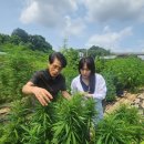 주-포스트 이미지