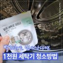 발포락스 | 세탁기 청소·냄새 제거 방법｜세탁조 클리너 vs 락스 비교