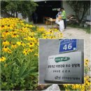 오현농장 | 요리천사님과 함께 공주 베리베리팜 블루베리체험 &amp; 백제문화탐방 다녀왔어요~!