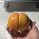 용현정형외과의원 이미지