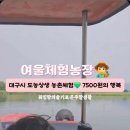여울농장 네이버블로그