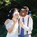 소피토제주 이미지