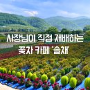 청송 주왕산근처 카페 수제꽃차 전문점 꽃차이야기 &#39;솔채&#39;