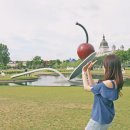 미국 중북부 미네소타 여행 미니애폴리스 조각 공원 꼭 가야함 ! Minneapolis Sculpture Garden