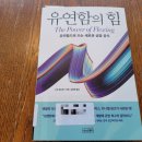 유연함의 힘_<b>수잔</b>애쉬포드 지음