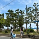 [포항여행] 포항 오션뷰 카페 &#39;하우하이&#39; + 무료 피크닉 후기