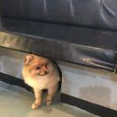 빈스 앤 멍 이미지