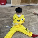 브니엘태권도장 이미지