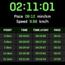 선수촌사우나 | 4/5 더레이스서울 21K 인생 첫 하프마라톤 후기 절망편 앤나 성내천 꽃구경