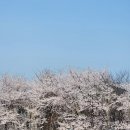 경기도 수원시 권선구 권중로 171 이미지