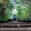 백설공주 팬션 | 제주 사진 스팟 산양큰엉곶 서쪽 명소 제주투어패스 24시간