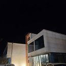 담스 | 제주금능해수욕장 숙소 스파 있는 제주 담스파빌 펜션 도담객실 내돈내산 후기