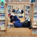 완주군립콩쥐팥쥐도서관 이미지