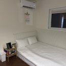 금능서시 이미지