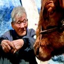 워낭소리 이미지