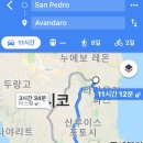 브라보요트 네이버블로그