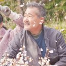 부흥할머니 이미지