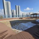 애견유치원&호텔 초댕학교 이미지