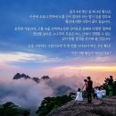 서해항공여행사 이미지