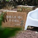 제이랑디저트 이미지
