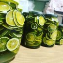 한스애견카페 이미지