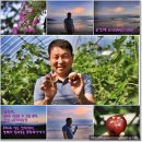 영배농장 이미지