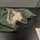 (주)티웨이즈 루리웹게임뉴스