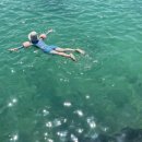 굿나잇 판포 이미지