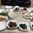 금오도마차 이미지