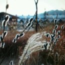 처남목장 이미지