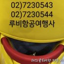루비항공여행사 이미지