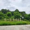 도도한댕댕 | [서울 6월 축제] 북서울 꿈의 숲 행사 <함께가자 댕댕아> 다녀온 후기!