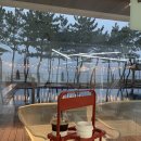 더 헤이븐(The Haven) 이미지