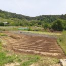 취적농장 이미지