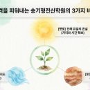 인디자인 Daum카페