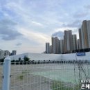 신수로671번길 이미지