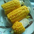 무주냉동 이미지