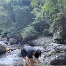 청도편백숲하우스 이미지