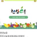 천안시농협조합공동사업법인, 농특산물 온라인 연결 플랫폼 ‘천안e유’ 앱 출시