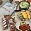 모슬포 | [제주/공항근처] 제주도 회 맛집 “모슬포고등어” 방문후기 :: 제주맛집, 제주고등어회맛집