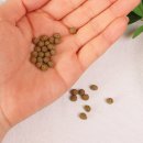 명환농장 이미지