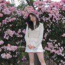 빈티지디카 • ixus80is 후기 (작례포함)