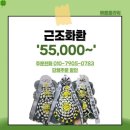 조은금강병원장례식장 | 김해 조은금강병원장례식장 고급 근조화환 3시간 내로 빠르게 배송합니다